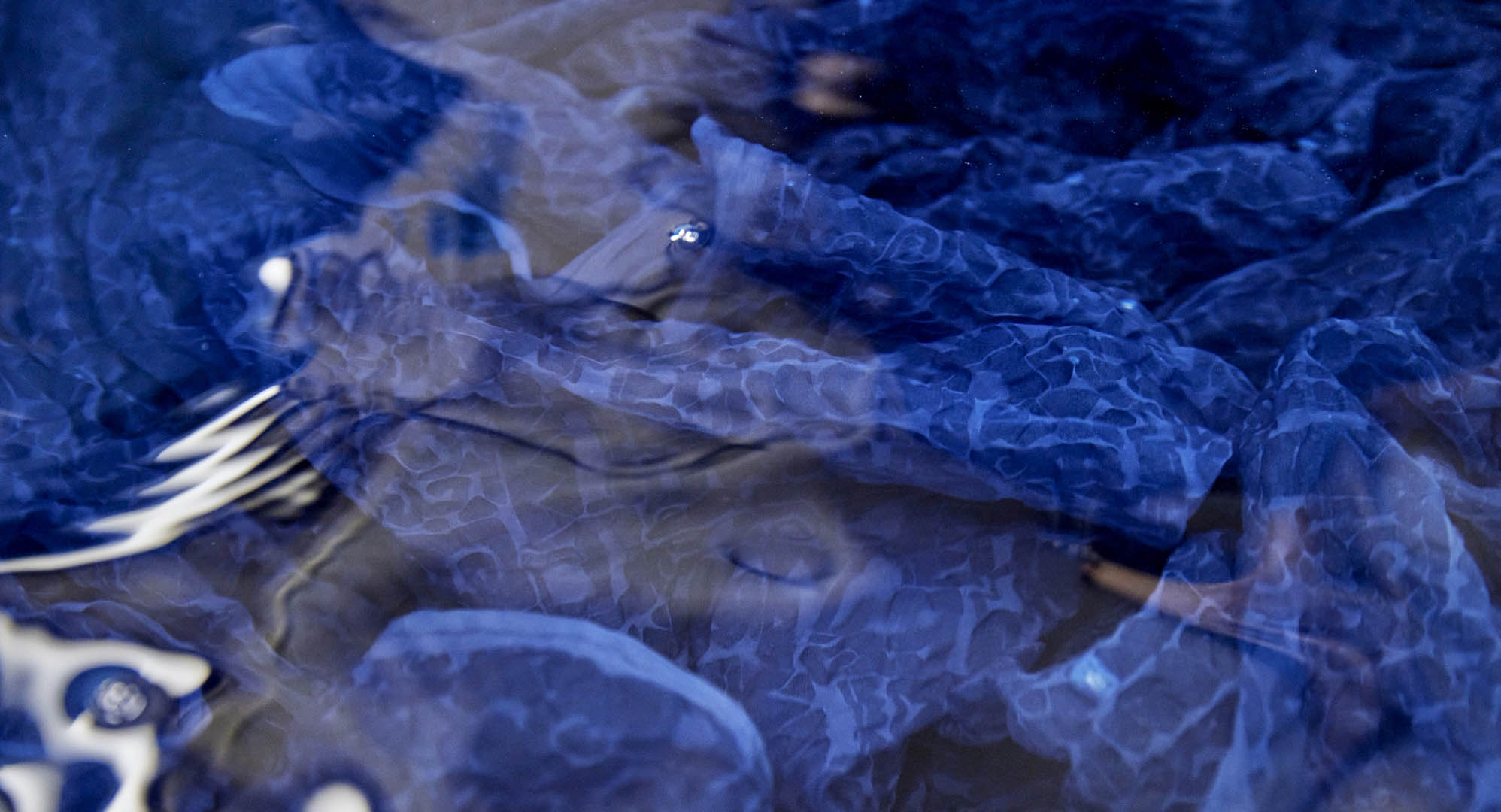 「藍」は人類最古の染料