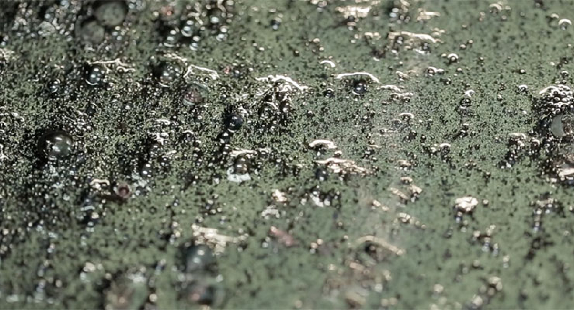 江戸時代から伝わる伝統技法「天然灰汁発酵建て」